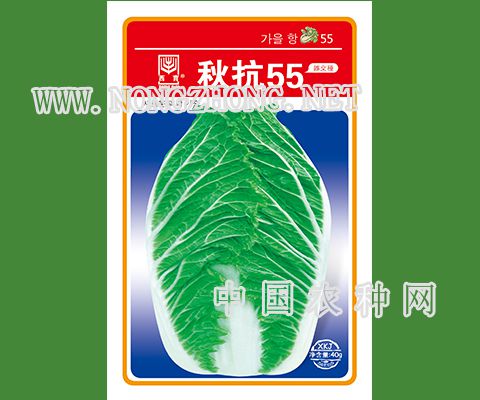 秋抗55